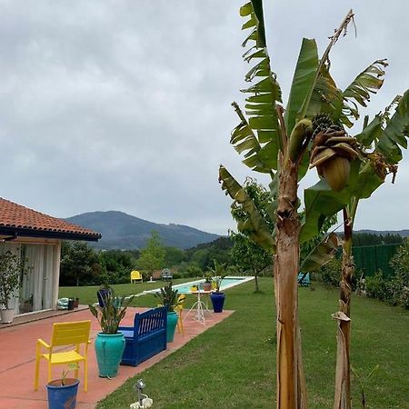 Apartmán Habitacion En La Naturaleza 1 Igartua Exteriér fotografie